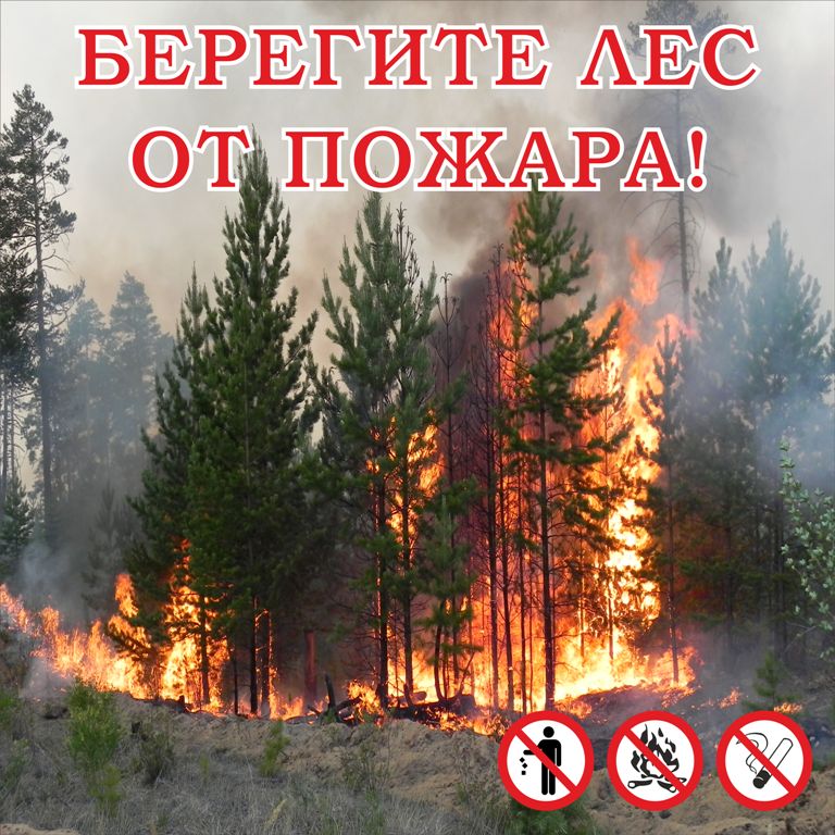 картинка Аншлаг противопожарный "Берегите лес от пожара!" 1000х1000 мм, пластик 3мм  в интернет-магазине Всезнаки.рф в Санкт-Петербурге
