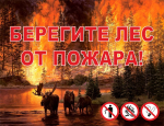 картинка Аншлаг противопожарный "Берегите лес от пожара!" 1300x1000 мм, пластик 3 мм  в интернет-магазине Всезнаки.рф в Санкт-Петербурге