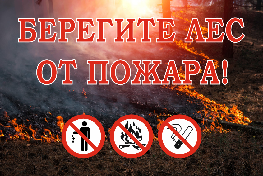 картинка Аншлаг противопожарный "Берегите лес от пожара", 1500х1000 мм, пластик 3 мм  в интернет-магазине Всезнаки.рф в Санкт-Петербурге